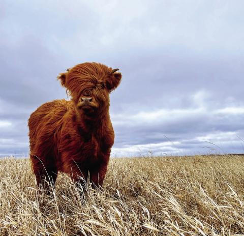 NDFB Photo Contest winners announced