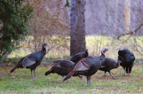 North Dakota Game & Fish update