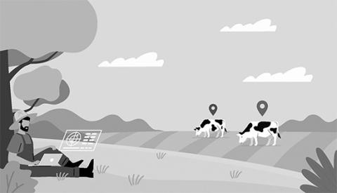 Scholarships offered by the North Dakota Stockmen’s Foundation in 2024