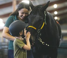 Bison Strides horses help participants develop self-confidence, strength, mindfulness and independence. (NDSU photo)