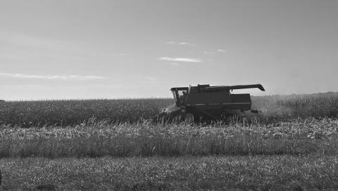 A farmer harvests corn beside Highway 163 in Iowa. Photo by Cami Koons/Iowa Capital Dispatch