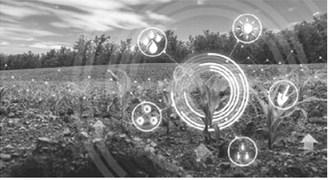 Five challenges facing modern farmers
