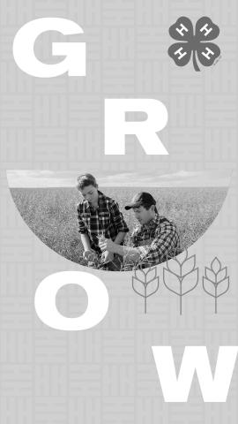 PEMBINA COUNTY YOUTH TO CELEBRATE National 4-H Week Oct. 2-8