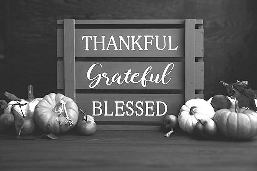 Prairie doc perspective: Giving thanks