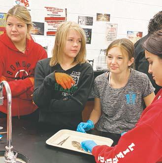 Alyvia Quibell, Alyssa Hoyles, Taylor Hermanson, and Justyce Mallory cannot hide their looks of disgust while they dissect their frog. Photo by Lyle Van Camp.