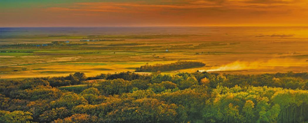 Winning photo in the ‘landscape’ category.