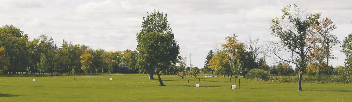 Seeds planted lead to more green at Drayton Golf Course