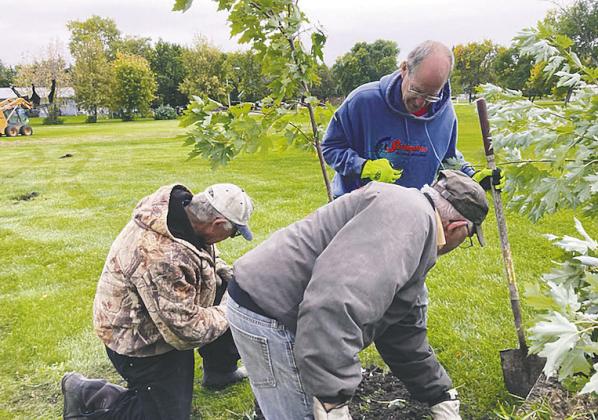 Seeds planted lead to more green at Drayton Golf Course
