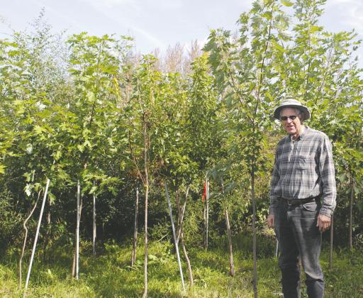 Seeds planted lead to more green at Drayton Golf Course