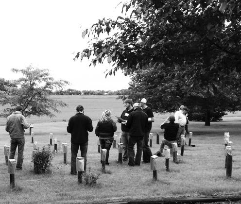The morning of the field school will feature a weed identification session in the curated Weed Arboretum. (NDSU photo)