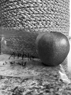 The chances of an apple seed growing, thriving and producing fruit are slim due to the multiple conditions that must occur to produce a healthy apple tree. (NDSU photo)