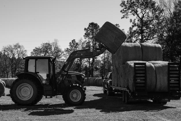 Loads such as seed, fertilizer, equipment and hay bales are subject to vibration, swaying, centrifugal force, inertia, wind and other forces during transit. (USDA photo)