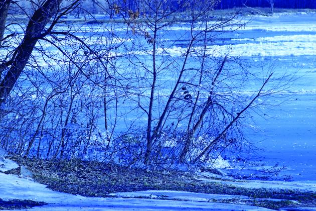 The last of the Autumn leaves still clinging to the trees mixed with icicles and frozen chunks floating upstream can be seen along the Red River banks. VNV Photo by Lesa Van Camp