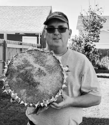 My Two CenTs | HarvesT season
