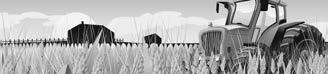 Consider planting winter wheat this year