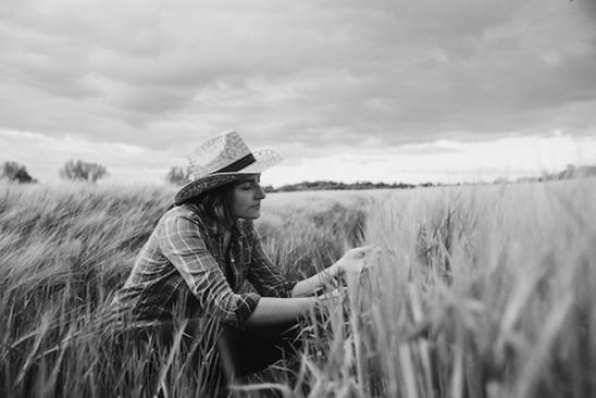 Cardiovascular health on the farm