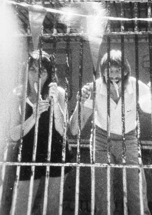 Del &amp;amp; Bob in the Monkey Cage