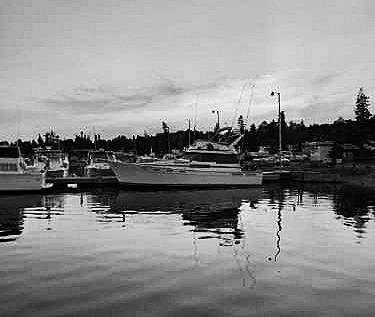 The North Shore