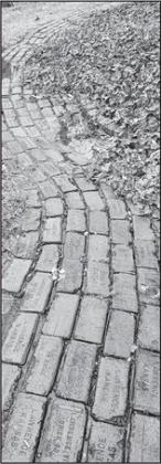 Alt Text for Image