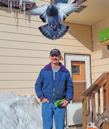 Pet Pigeon brings great joy