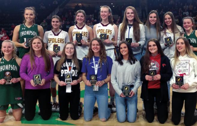 Stegman makes All Region Team