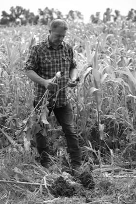 Tyler Zimmerman inspects the soil on the roots of his crops at his regenerative farm near Leonard, North Dakota. Photo provided by Kiss the Ground.