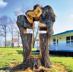 This tree fell on a home in Tennessee during a recent storm. Afterwards, the tree was trimmed and left for Easter. Photo by Duane H.H. Lyon.