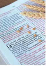 Kids Talk About God
