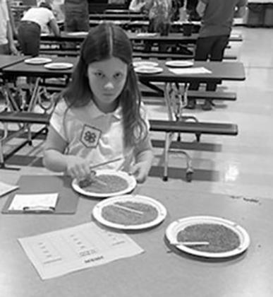 Chole Hunter grain grading. Submitted photo