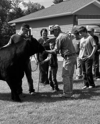 Youth will rotate through species-specific workshops led by NDSU Extension agents and local agricultural experts at the From Barn to Ring: Developing Skills for Every Species camp. NDSU photo