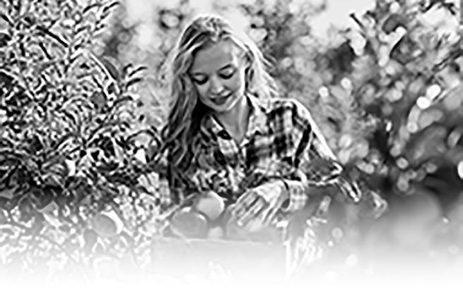 Goehring announces availability of orchard grants
