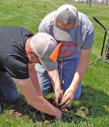 Tree Committee Busy Planting Once Again
