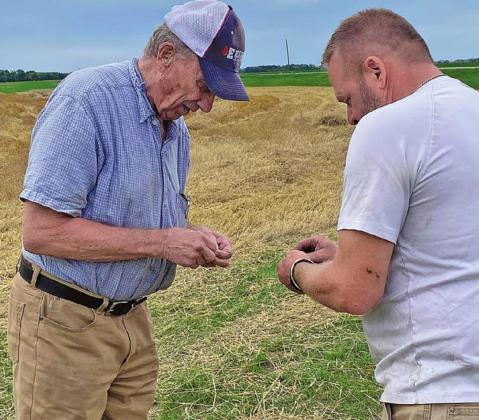 Checking our the crop are Melvin Such from Hallock and Gary Jensen. Photo by Kari Jensen