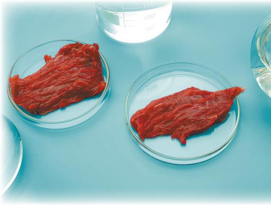 HB1151 addresses the labeling and packaging of lab grown protein.