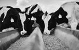 It also supports small towns and rural schools. In Clark County, South Dako-