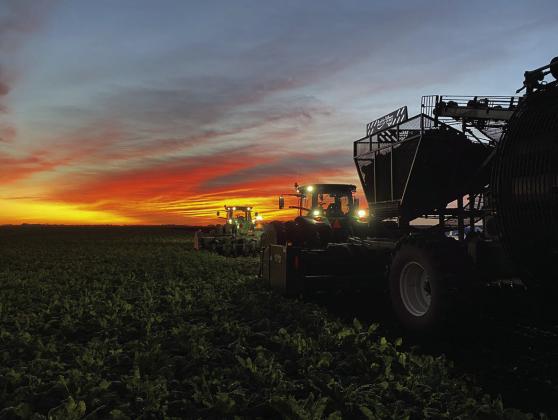 NDFB Photo Contest winners announced