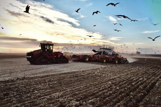 NDFB Photo Contest winners announced