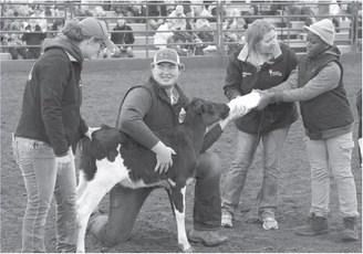 Attendees at a prior Moos, Ewes and More event helped bottle feed a calf, while others learned about how milk and dairy products go from the NDSU Dairy Farm to their table. (NDSU photo)