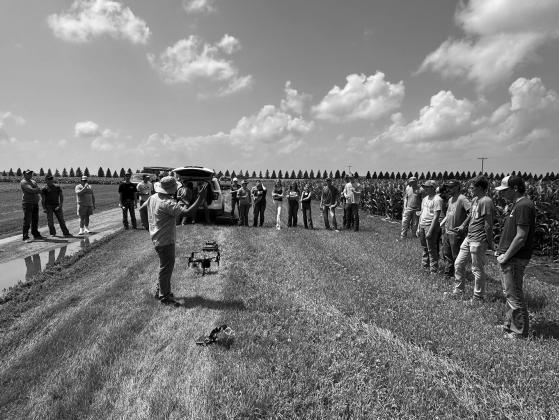 Farmers, agriculturalists and NDSU Extension staff are invited to attend the row crop tour at the Carrington Research Extension Center. (NDSU photo)