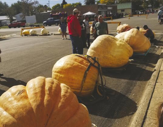 WALHALLA’S 18TH ANNUAL Giant PUMPKINFEST planned for this weekend