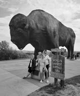 My Two CenTs | whirlwind Trip
