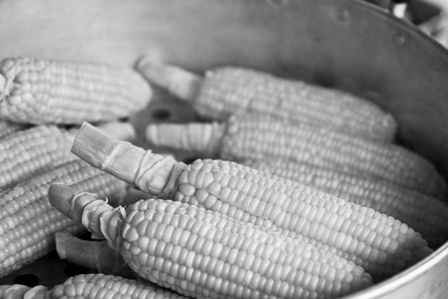 To blanch corn on the cob, bring water to a boil, add the cobs and then begin the timing process when the water begins boiling again. Pixabay photo