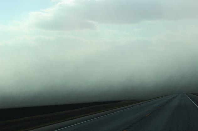 Soil being carried by wind caused blizzard like conditions south west of Drayton April 25. Photo by Andrea Johnston.