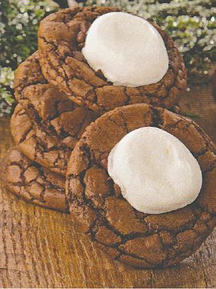 Rich hot chocolate in cookie form