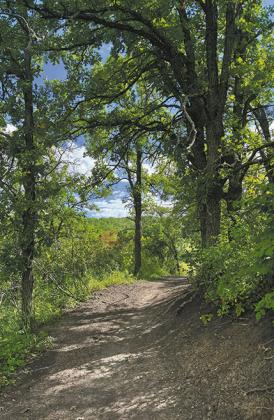 Nature trails in fall colors will be beautiful at Frost Fire. Submitted photo