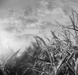 Proposals sought for Agriculture in the Classroom programs