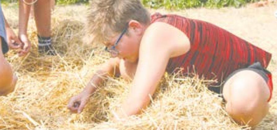 Photos of previous Riverfest events provided by Drayton Chamber of Commerce.
