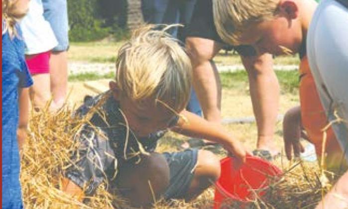 DRAYTON RIVERFEST / Releases Full Schedule of Events