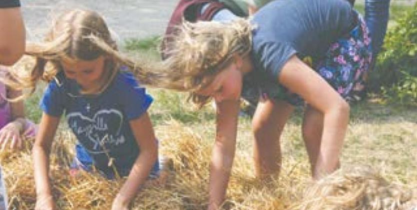 DRAYTON RIVERFEST / Releases Full Schedule of Events