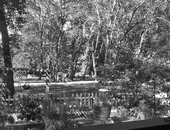 From my Window